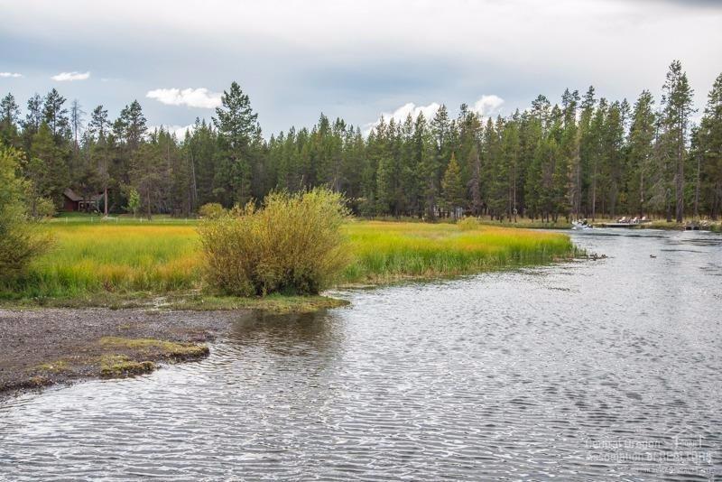 17486 Snow Goose Road Bend, OR 97707 - Photo 16 of 17 Close to the Little Deschutes River, whe