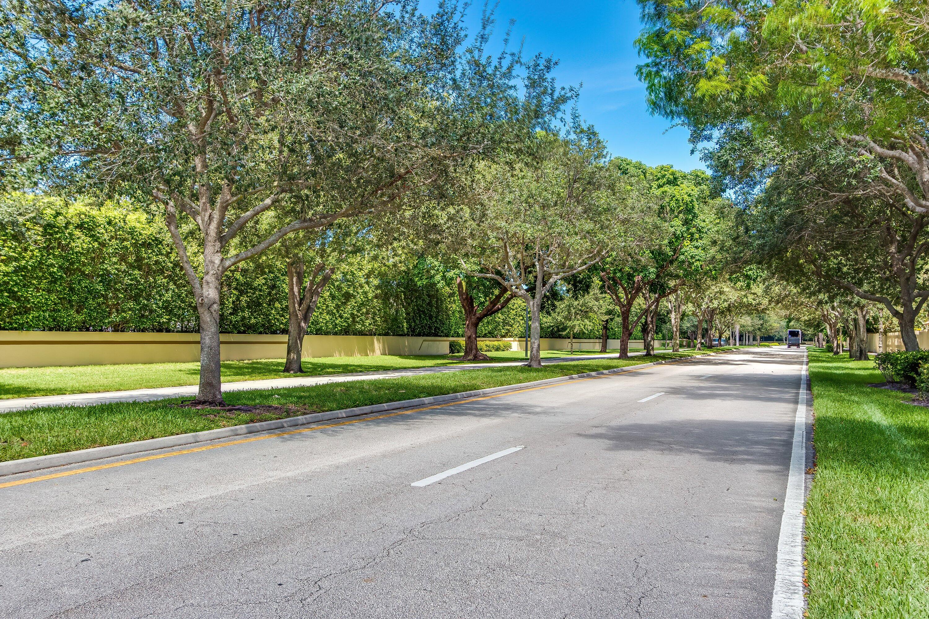17294 Lake Park Road Boca Raton, FL 33487 - Photo 42 of 47 pheasant walk treeline