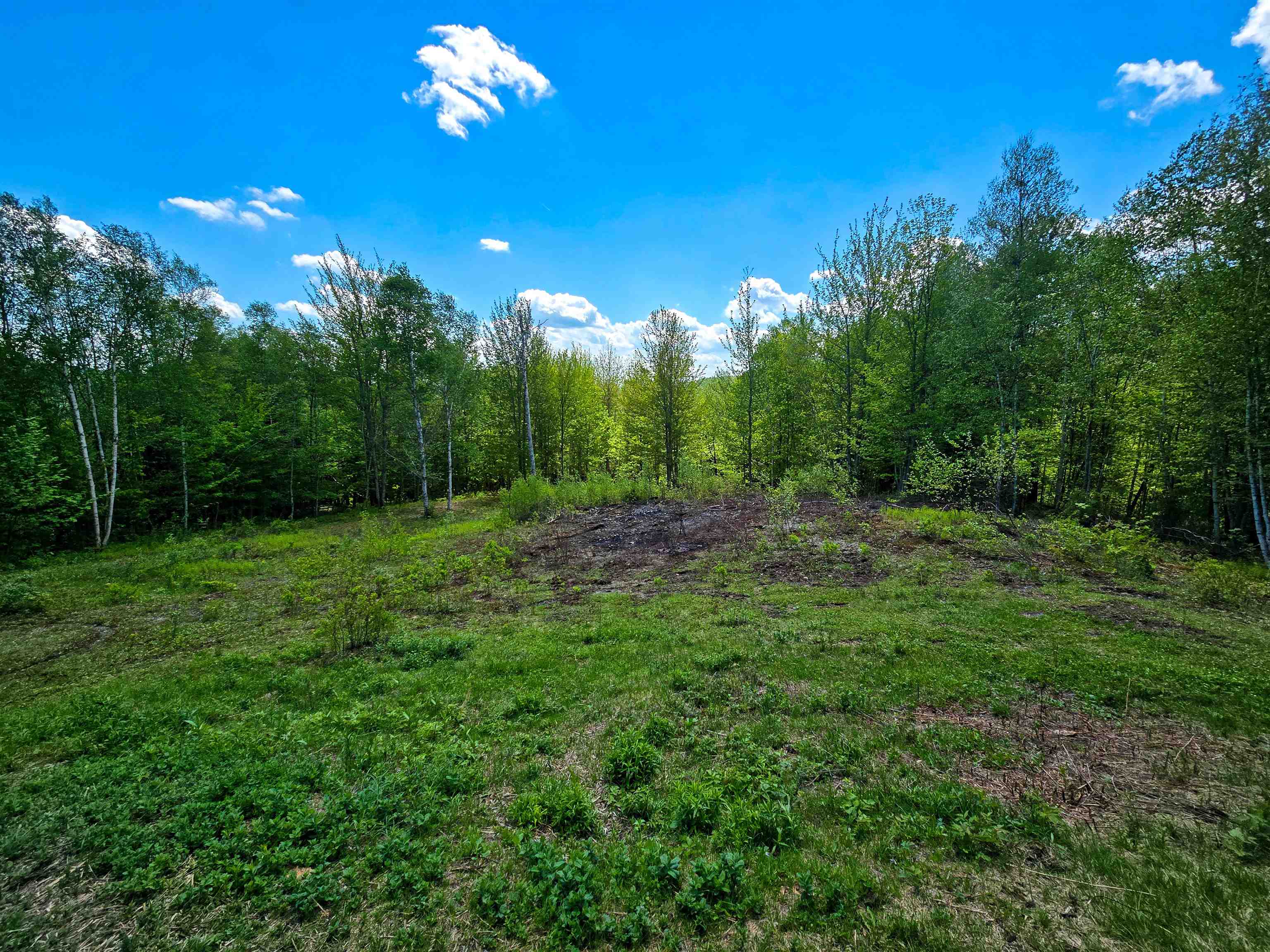 990 Daniels Road West Albany, VT 05845 - Photo 32 of 40