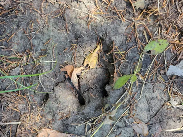 a view of an ocean and beach