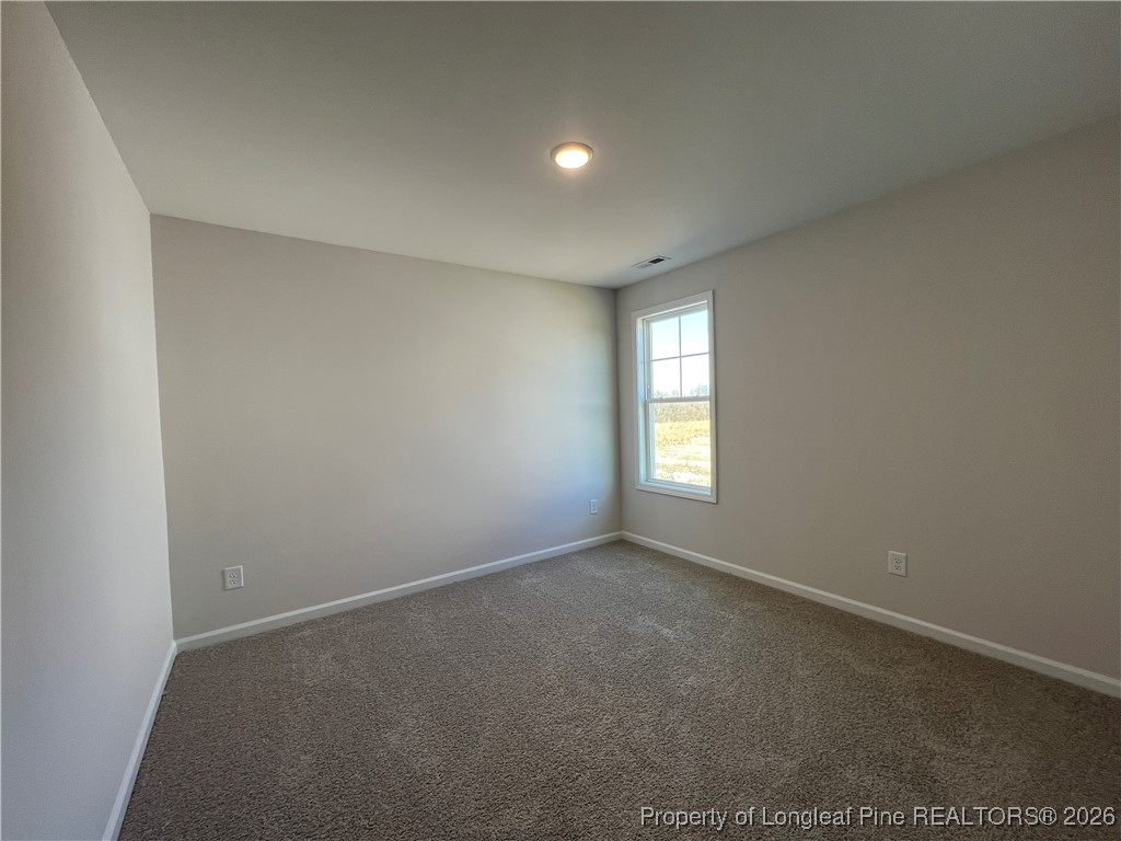4025 Blue Springs Road Red Springs, NC 28377 - Photo 23 of 27 Gallery Image 23