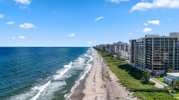 a view of a city with flower plants