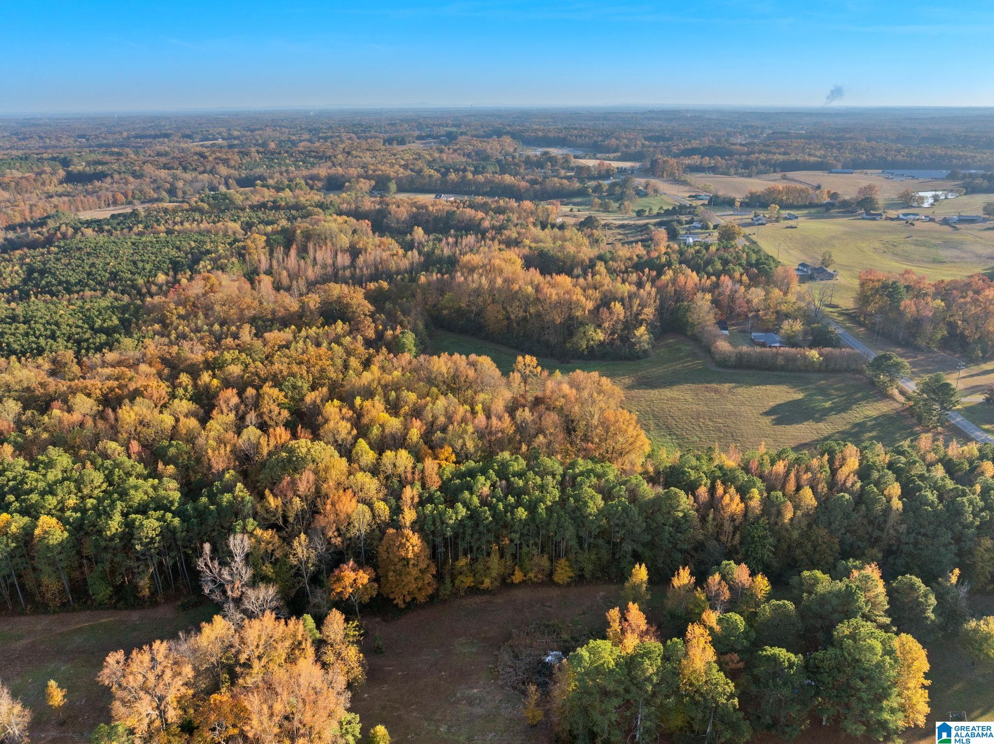 2986 Eva Road Eva, AL 35621 - Photo 16 of 32