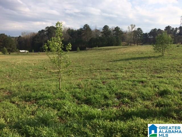 8601 Creek Run, Unit 1 Bessemer, AL 35023 - Photo 1 of 1