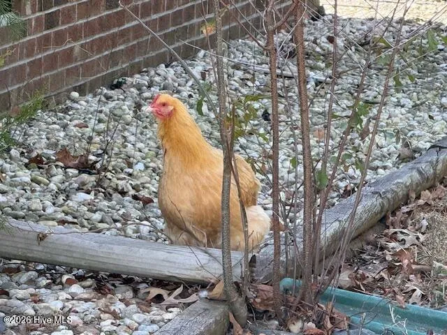 $2,300 | 176 Old Fountain Road, Richlands, NC 28574