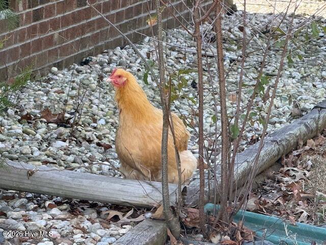 176 Old Fountain Road Richlands, NC 28574 - Photo 32 of 41 IMG_2866