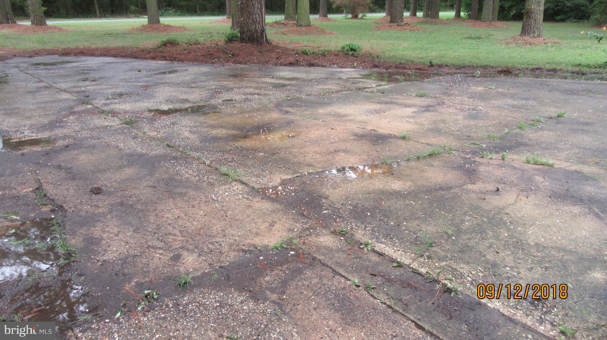 114 Woods Road Chester, MD 21619 - Photo 23 of 24 Nice Big Driveway