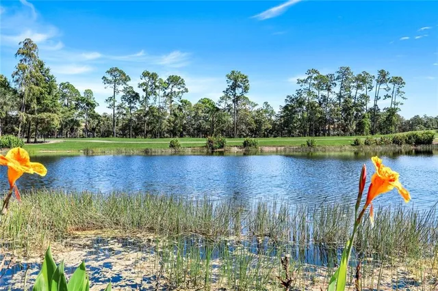 a view of a lake with houses in the back