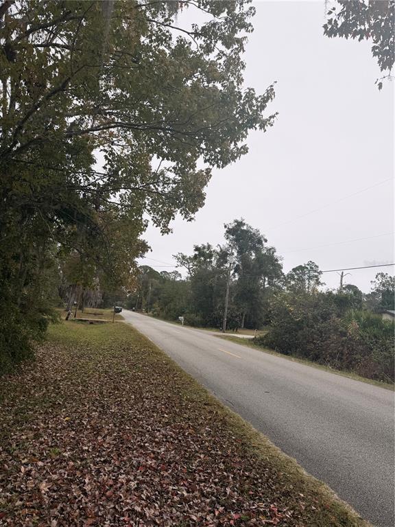 212 Paradise Shores Road Crescent City, FL 32112 - Photo 23 of 23 a view of dirt field with large trees