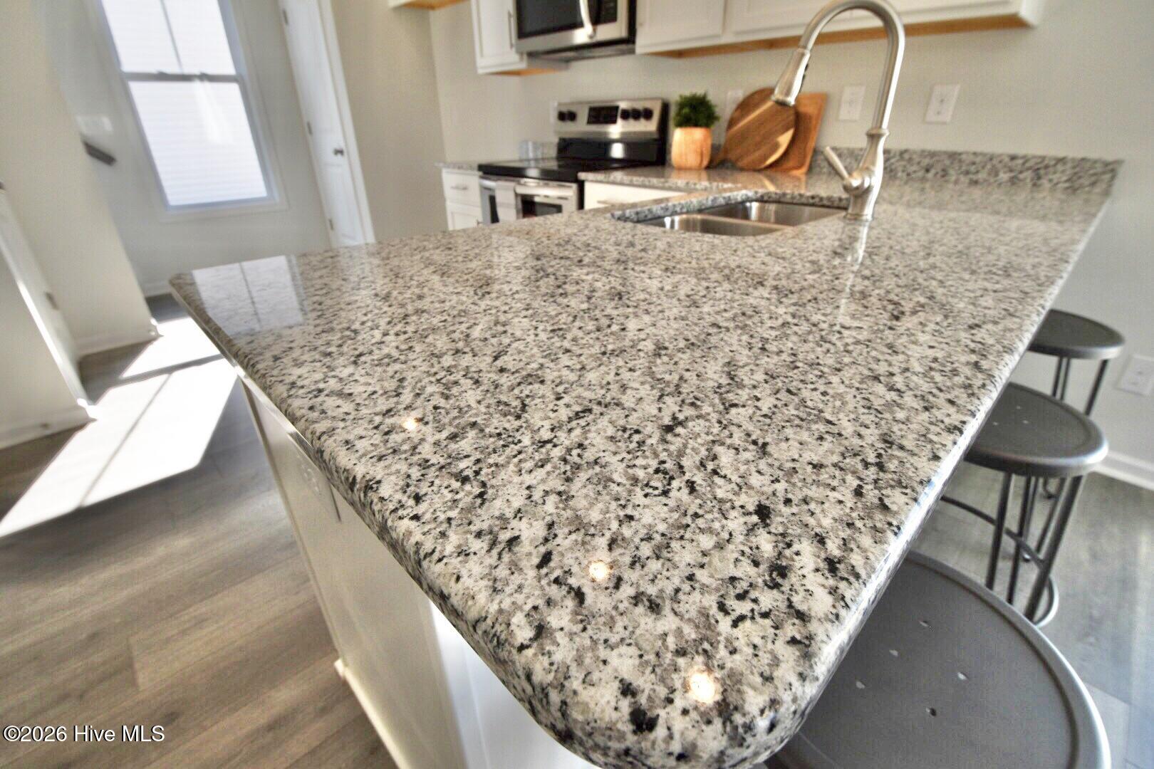 1037 Pine Ridge Castle Hayne, NC 28429 - Photo 8 of 15 Representative Photo