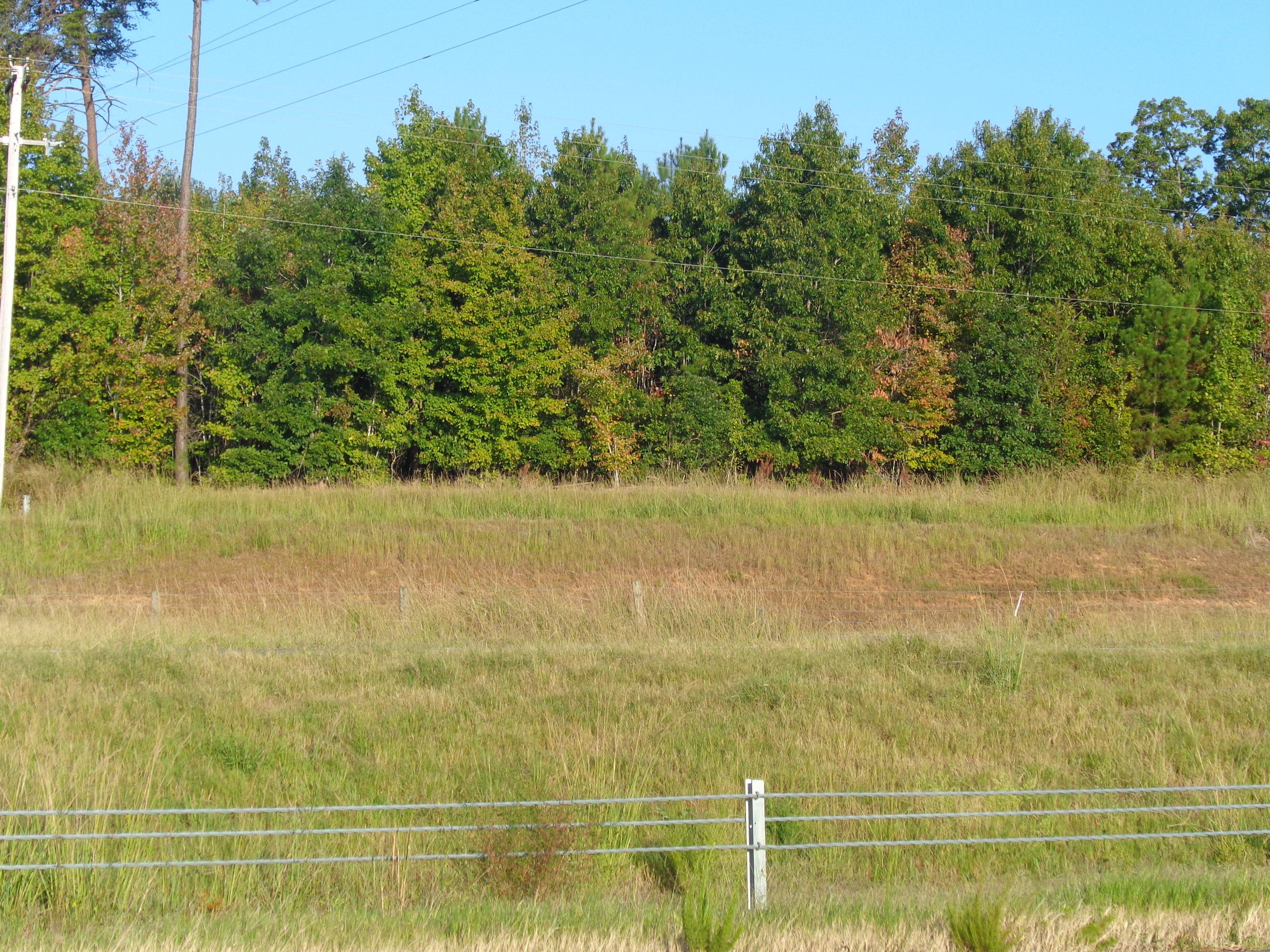 Tbd Old Woods Road Ellerbe, NC 28338 - Photo 3 of 8 DSC03949