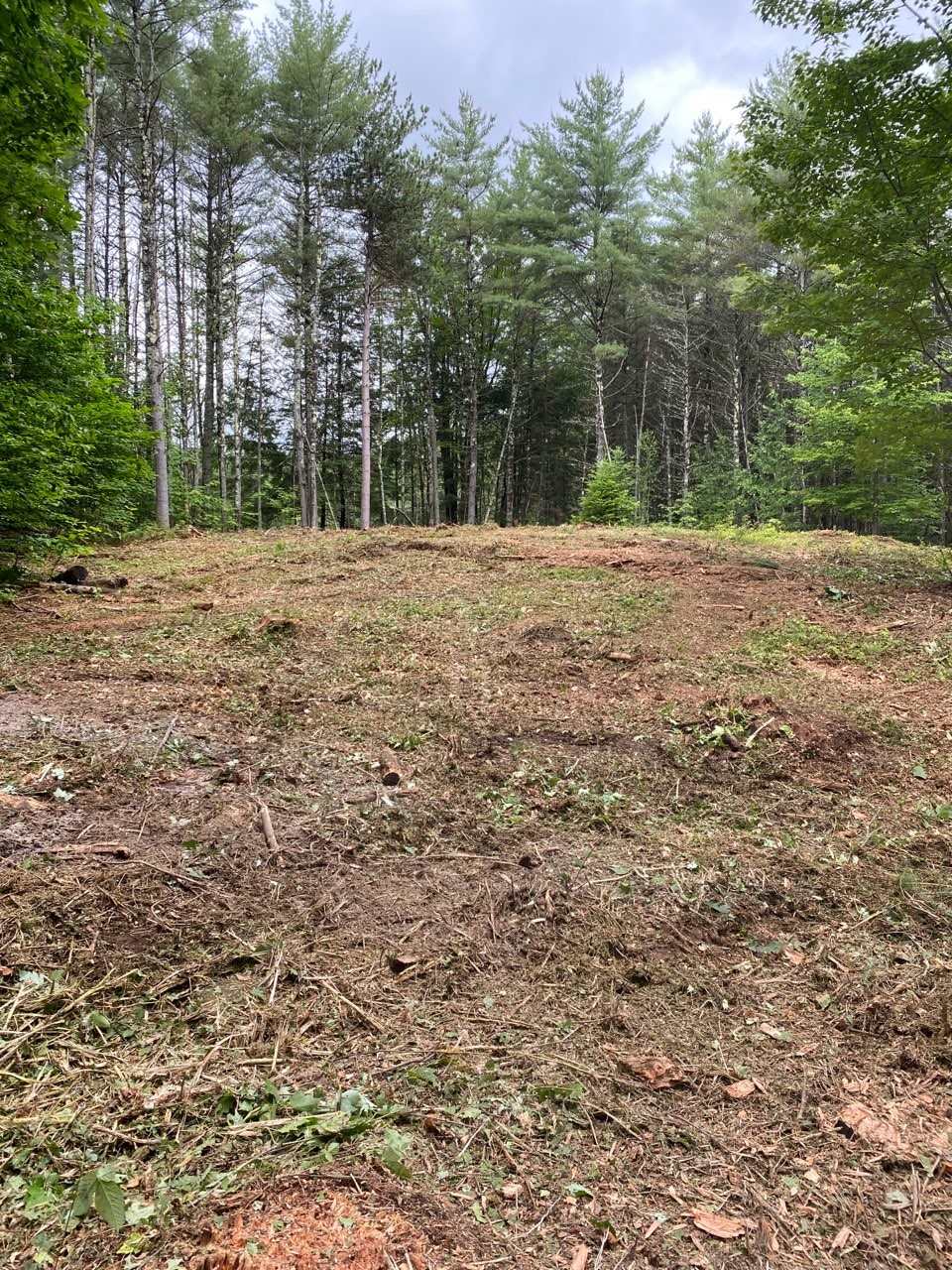 Lot 2 Dinardi Road Bristol, NH 03222 - Photo 1 of 3 Gallery Image 1