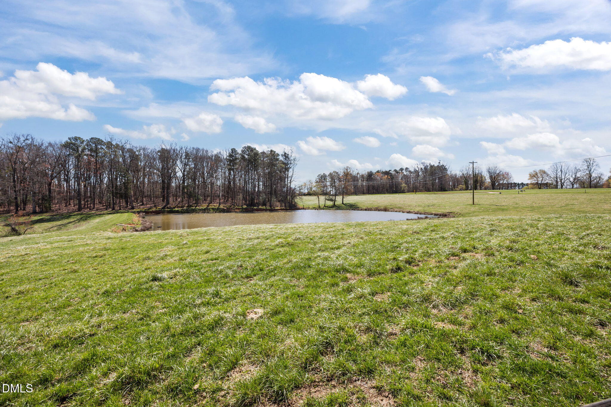 0 West R Gillespie Road Dobson, NC 27017 - Photo 11 of 31 11-web-or-mls-IMG_0836