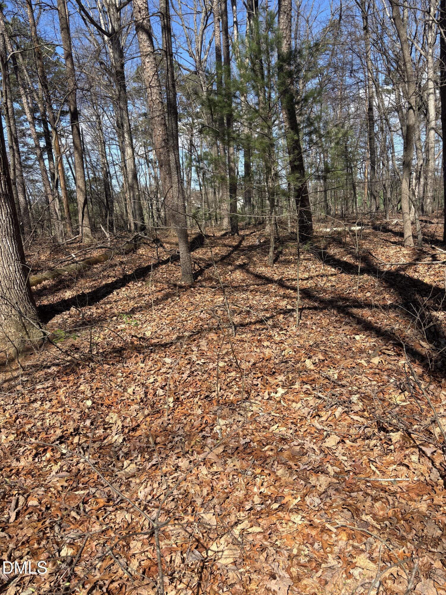 0 West R Gillespie Road Dobson, NC 27017 - Photo 26 of 31 IMG_2838 2