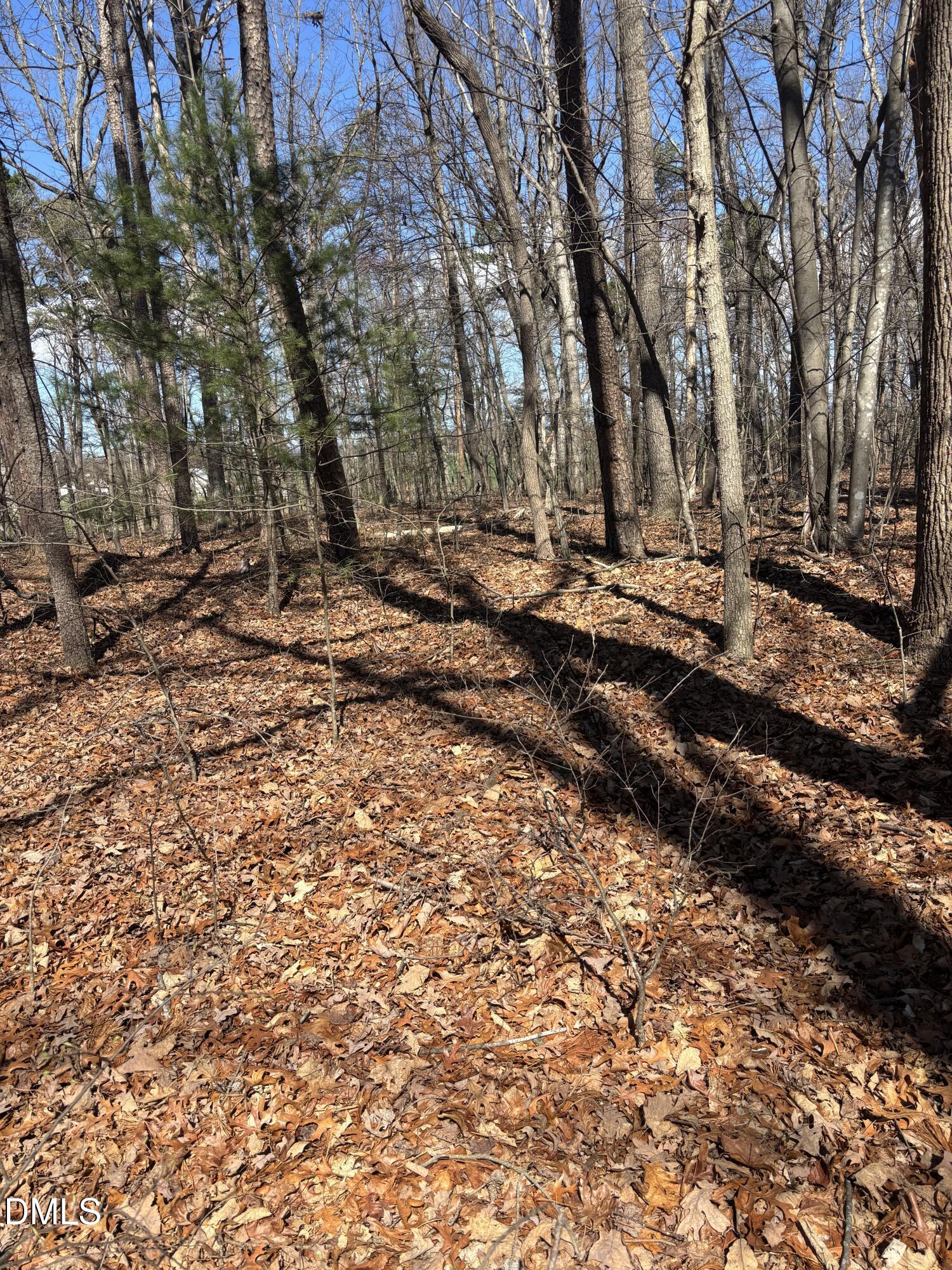 0 West R Gillespie Road Dobson, NC 27017 - Photo 27 of 31 IMG_2839 2