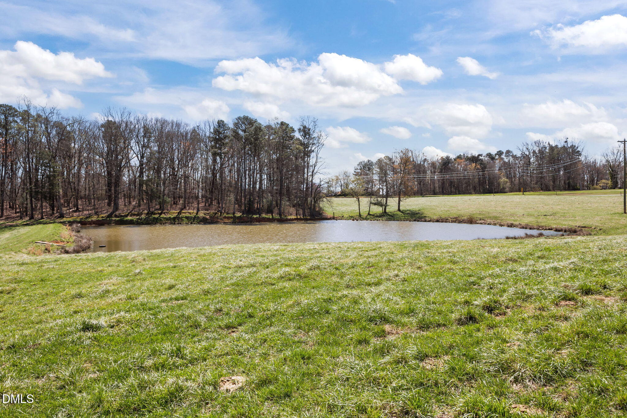 0 West R Gillespie Road Dobson, NC 27017 - Photo 10 of 31 10-web-or-mls-IMG_0835