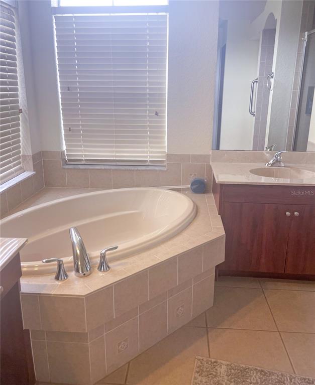 7243 Bahama Swallow Avenue Weeki Wachee, FL 34613 - Photo 17 of 18 a bathroom with a bathtub and a sink