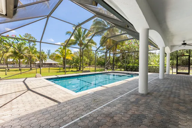 a view of a swimming pool with a lawn chairs under palm trees