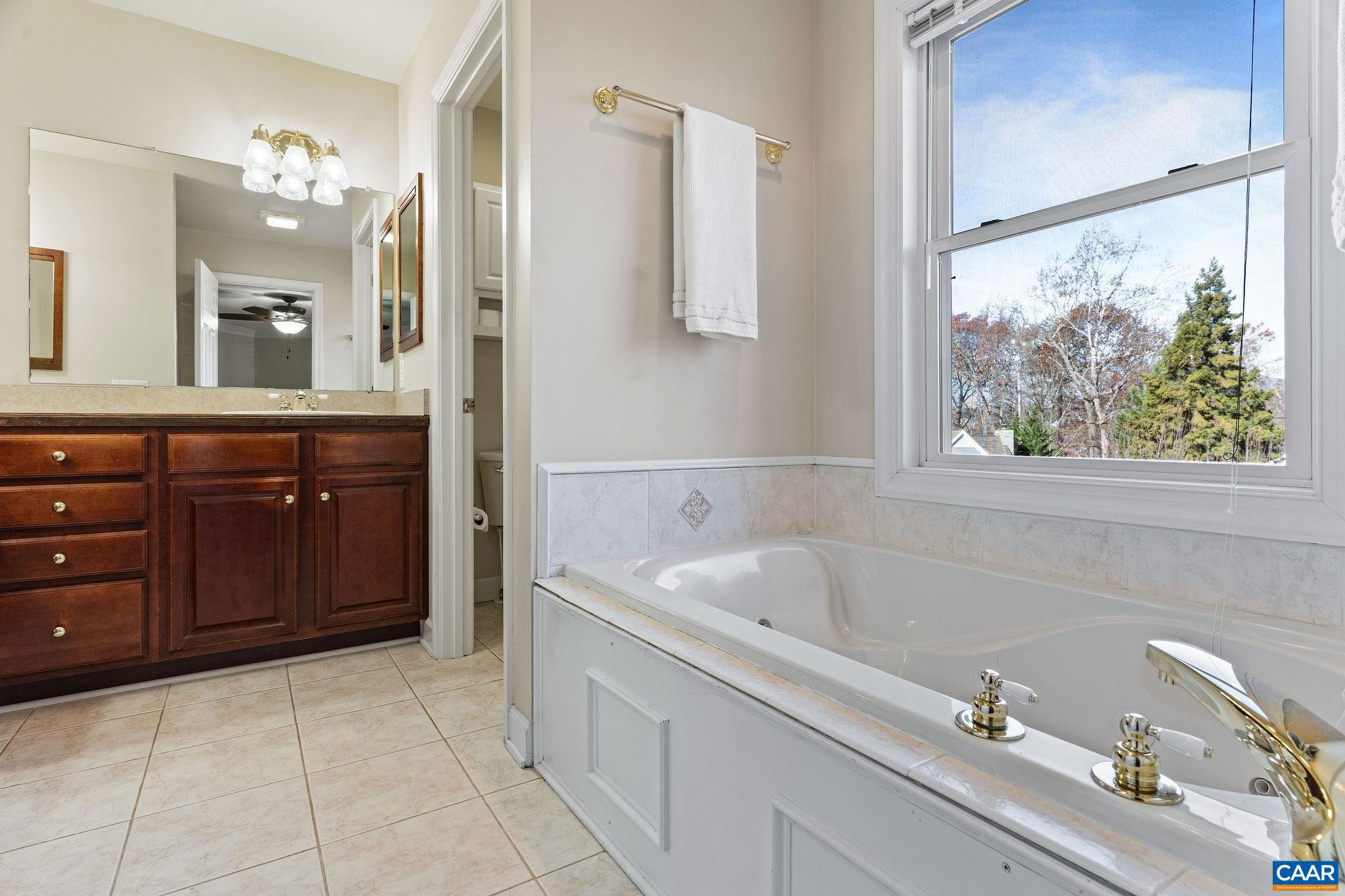 1286 Chatham Ridge Charlottesville, VA 22901 - Photo 30 of 33 a bathroom with a tub sink and mirror
