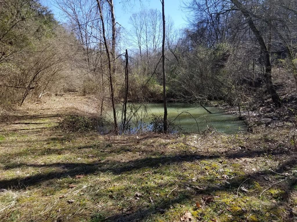 441 New Cave Church Road Newport, TN 37821 - Photo 22 of 26 Gallery Image 22
