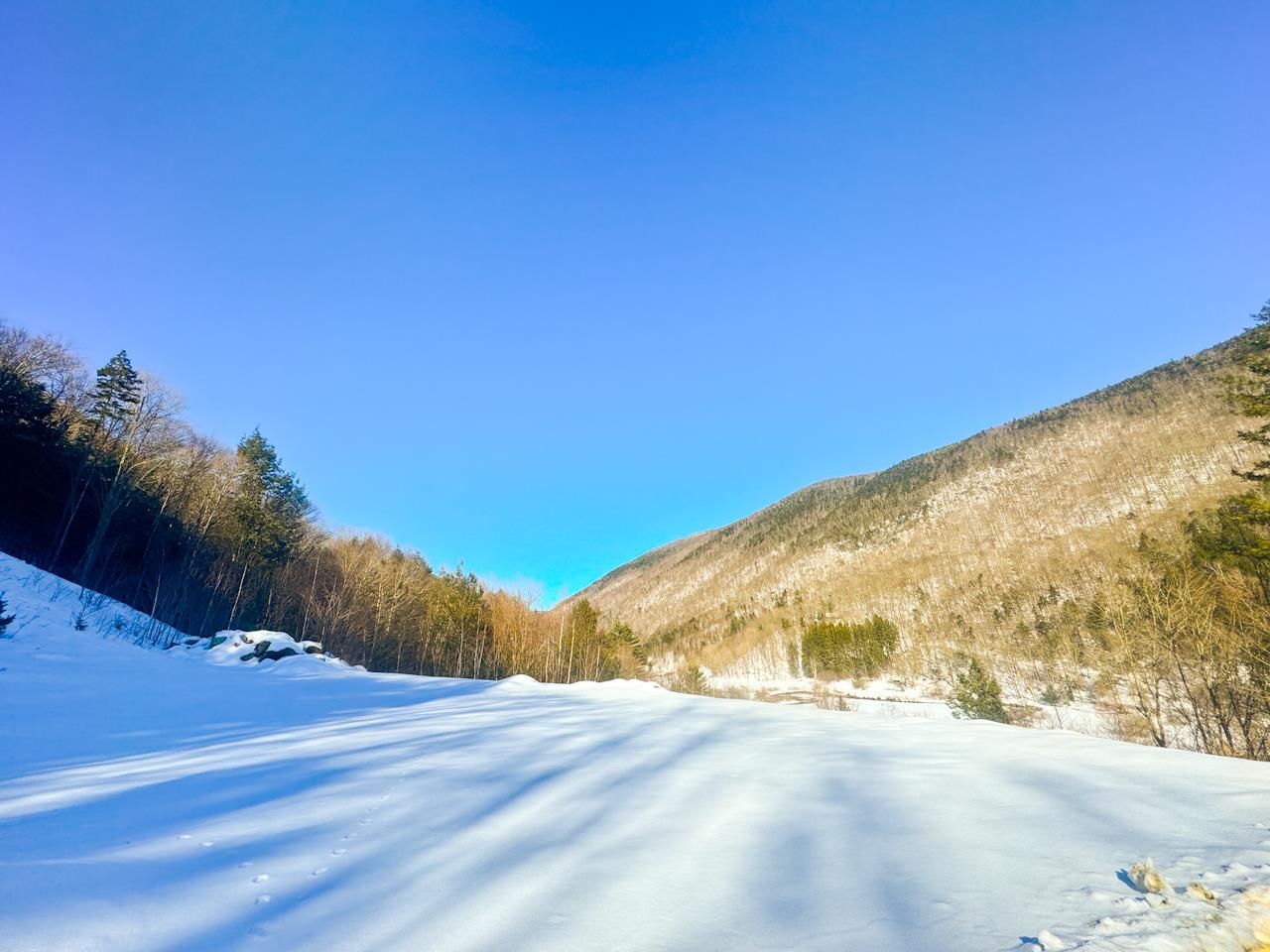 0 Skye Rdg Drive, Unit LOT 3 Killington, VT 05751 - Photo 2 of 39