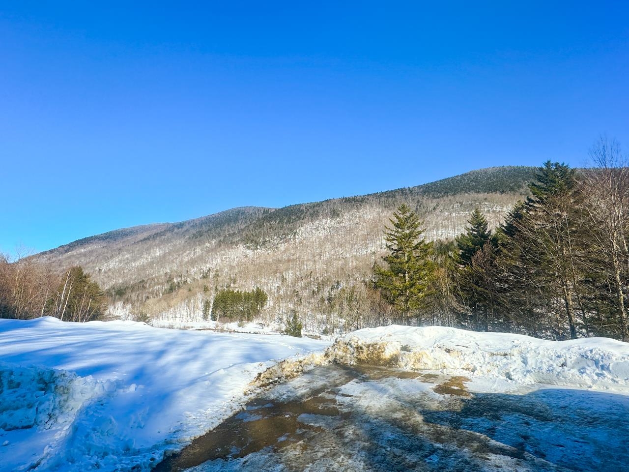 0 Skye Rdg Drive, Unit LOT 3 Killington, VT 05751 - Photo 30 of 39