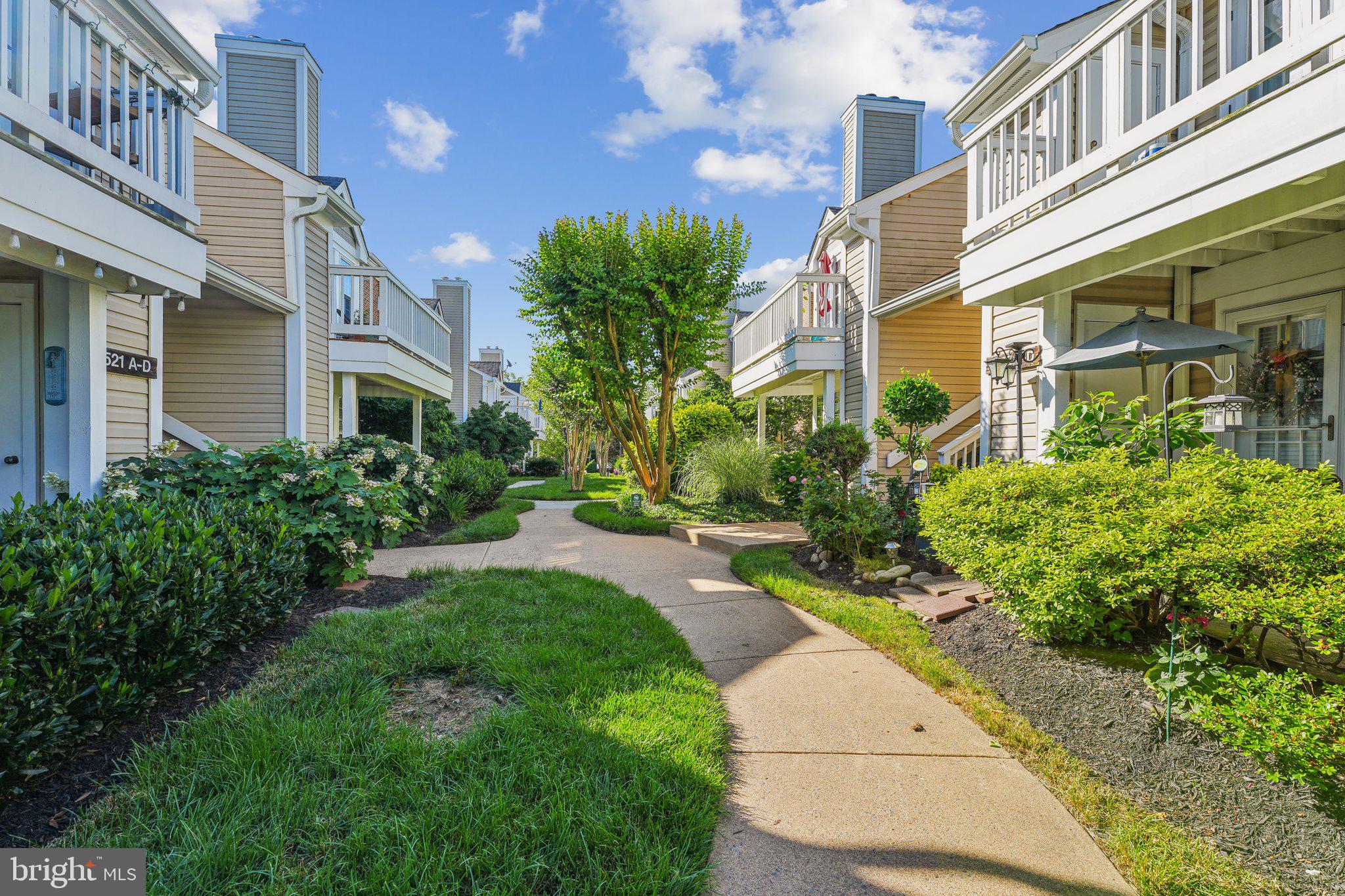 4523 28th Road South, Unit A Arlington, VA 22206 - Photo 21 of 25 Welcoming Courtyard