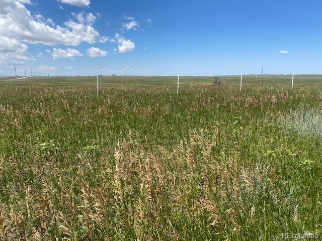 7252 North Yoder Road Calhan, CO 80808 - Photo 2 of 3