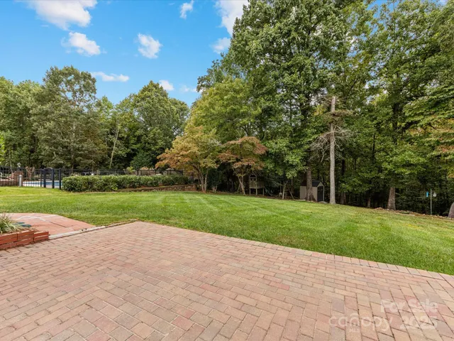 a view of a park with large trees