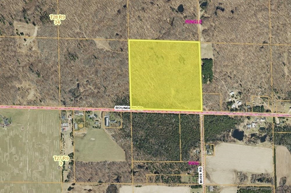 39.25-acres 39.25-acres Boundary Road Ringle, WI 54471 - Photo 1 of 1