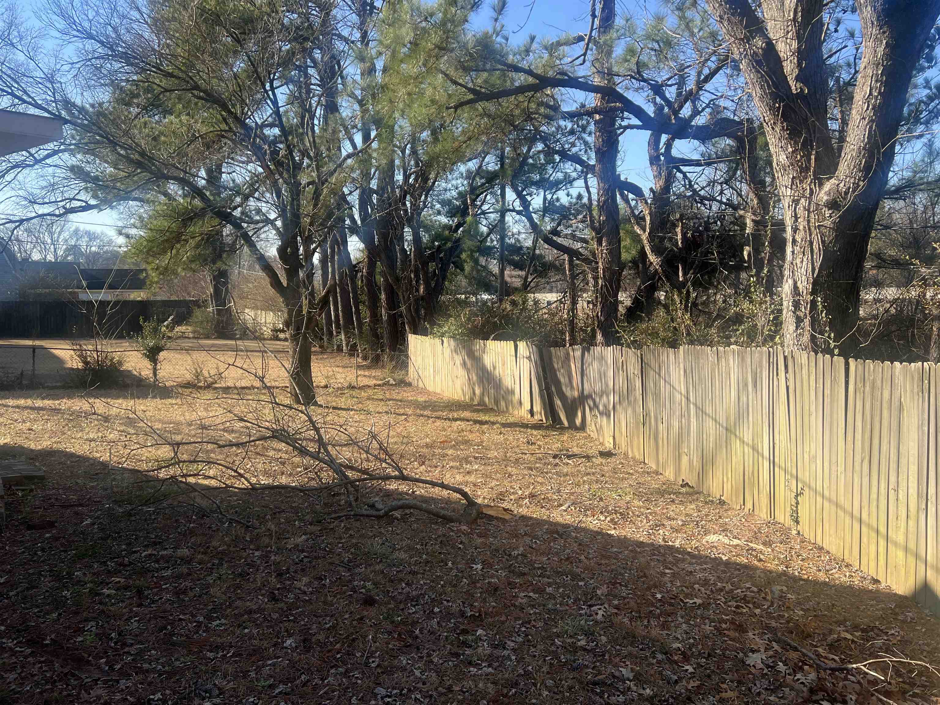 4295 Hudgins Road Memphis, TN 38116 - Photo 5 of 13 a view of yard covered with snow