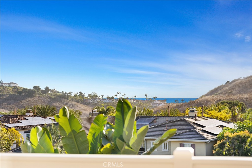 1302 Vista Prado San Clemente, CA 92673 - Photo 25 of 63