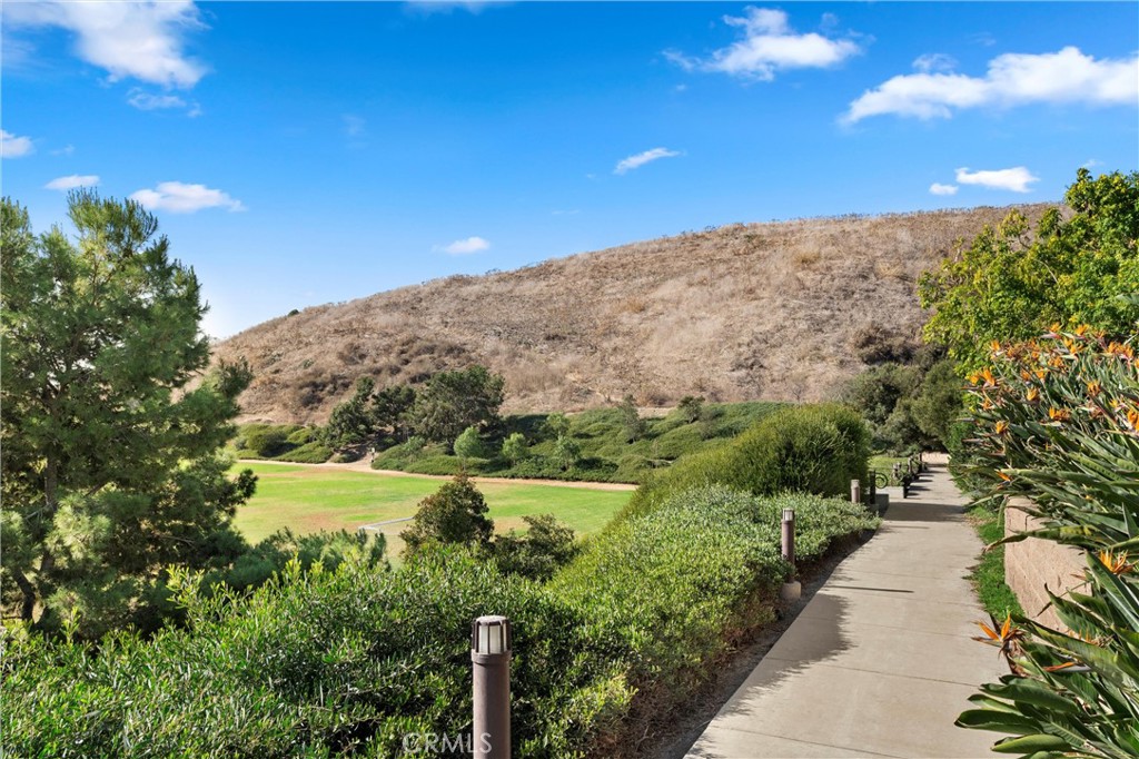 1302 Vista Prado San Clemente, CA 92673 - Photo 54 of 63