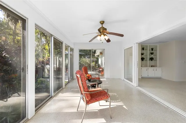 a view of a yard with large trees