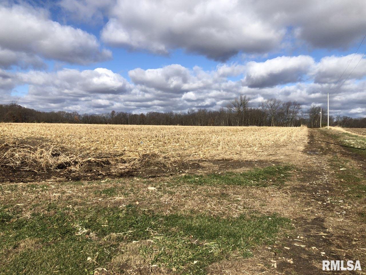 11014 Blooming Grove Road Palmyra, IL 62674 - Photo 1 of 4 Gallery Image 1