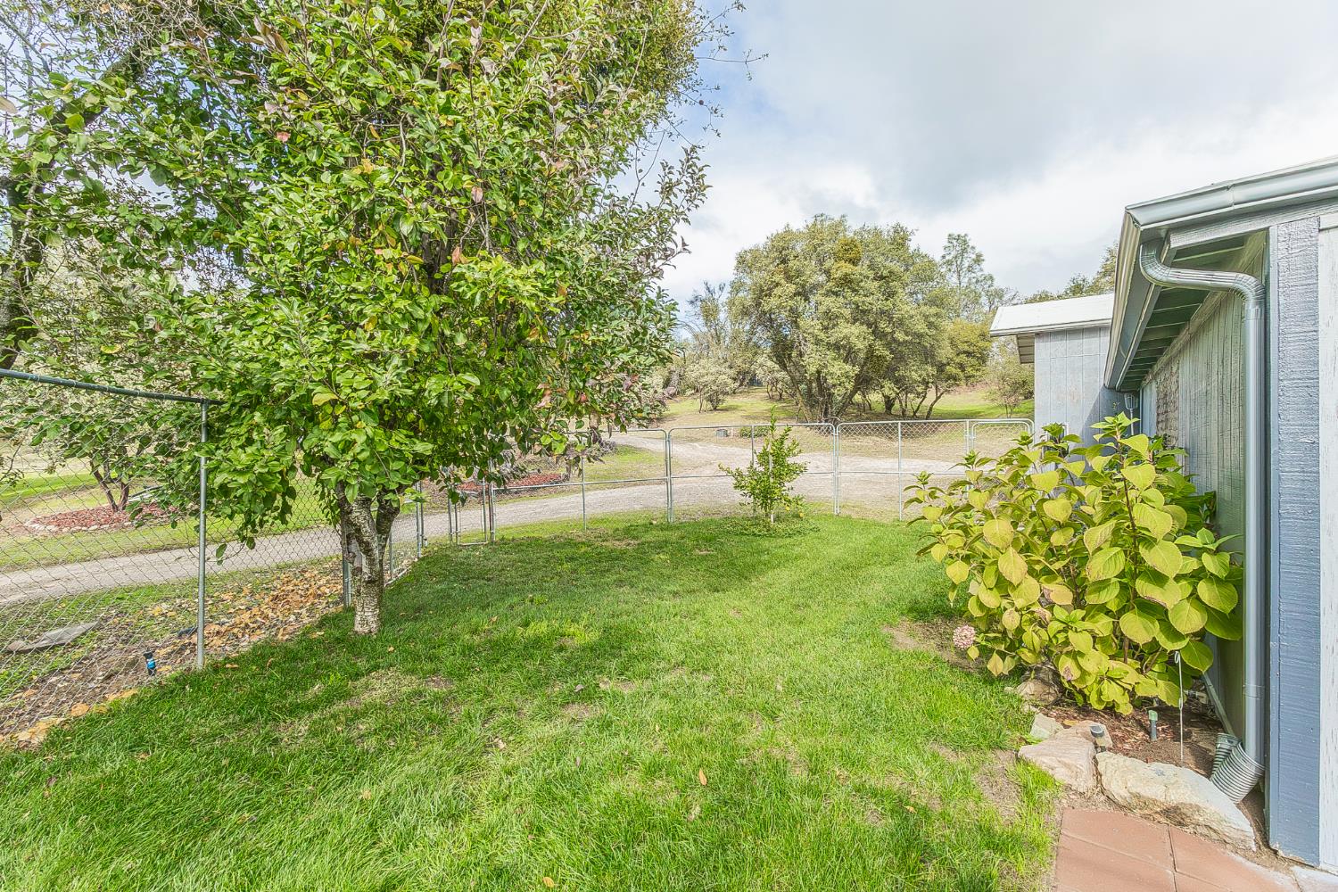 45991 Black Oak Road Coarsegold, CA 93614 - Photo 34 of 49 a view of a garden with a tree