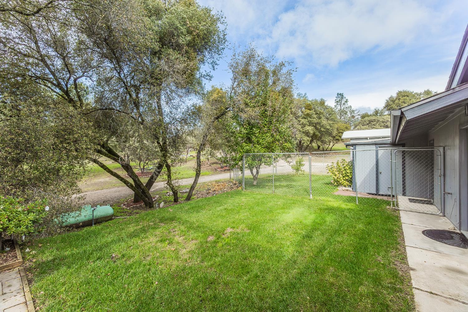45991 Black Oak Road Coarsegold, CA 93614 - Photo 36 of 67 a view of backyard with tree