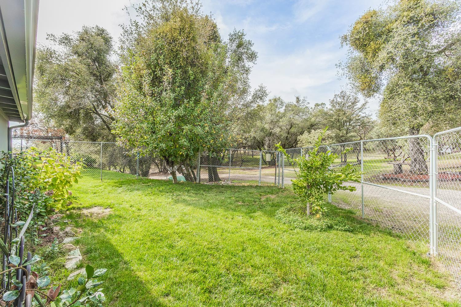 45991 Black Oak Road Coarsegold, CA 93614 - Photo 39 of 67 a view of backyard with green space