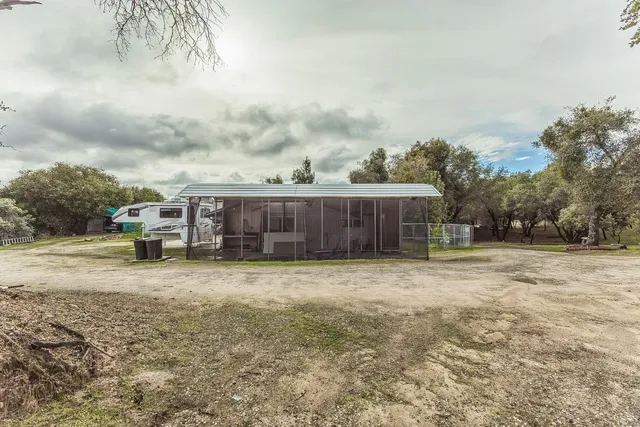 a view of a yard with trees