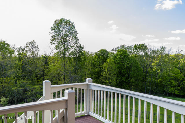 13325 Ridgemoor Drive Prospect, KY 40059 - Photo 37 of 38 Backyard views...