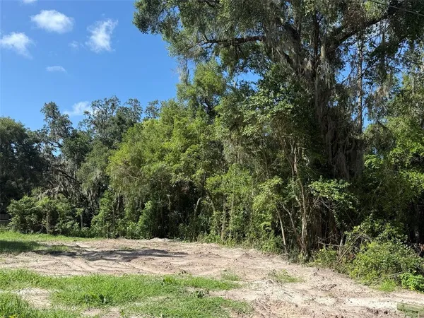 a view of a yard with a tree
