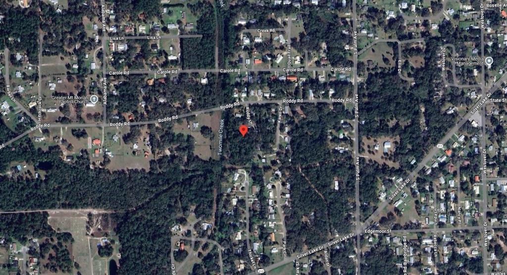 115 Roddy Lane Palatka, FL 32177 - Photo 5 of 5 a picture of tree