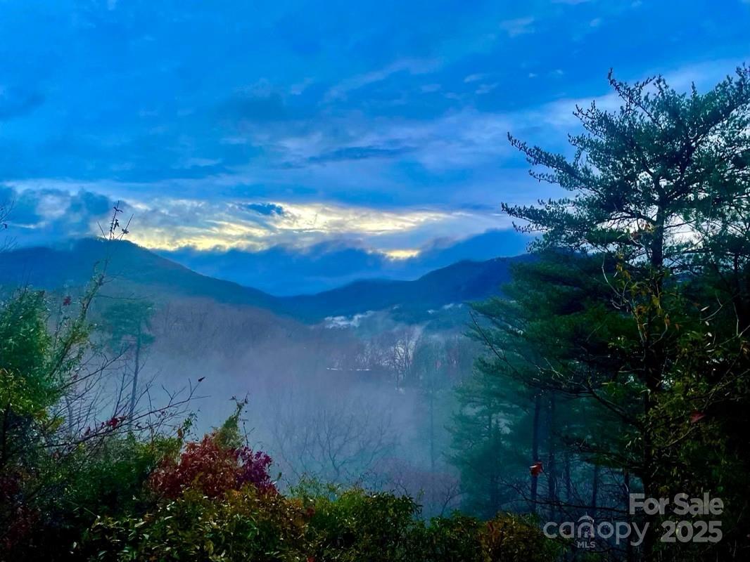 287 Pacolet Ridge Lane Tryon, NC 28782 - Photo 2 of 48 a view of a yard