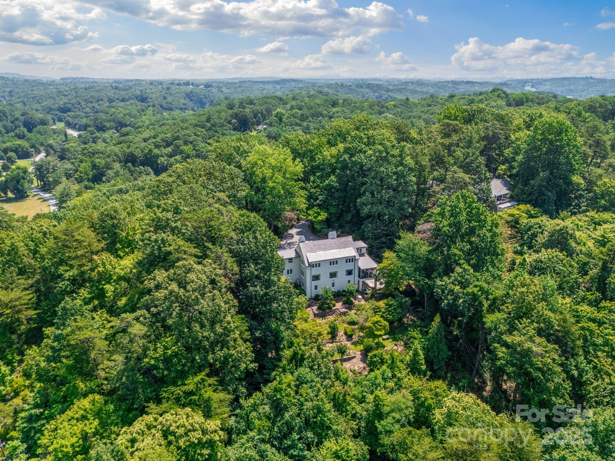 287 Pacolet Ridge Lane Tryon, NC 28782 - Photo 39 of 48 an aerial view of a houses with yard and outdoor seating