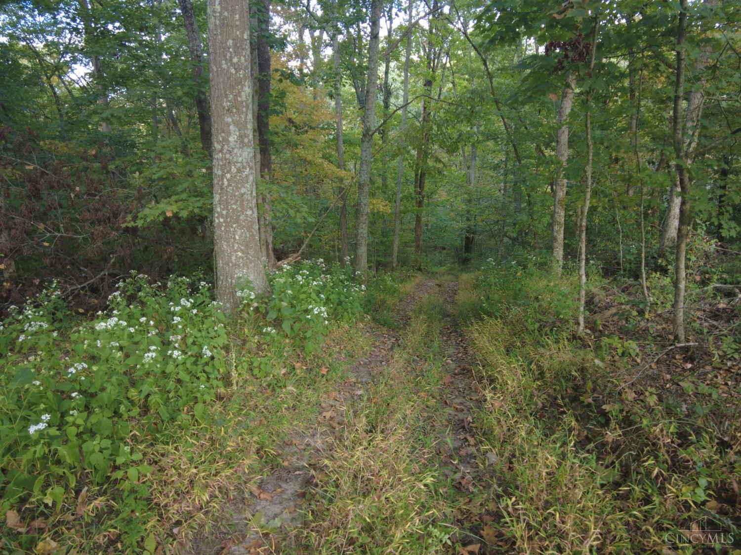22-ac Richey Road Felicity, OH 45120 - Photo 11 of 30