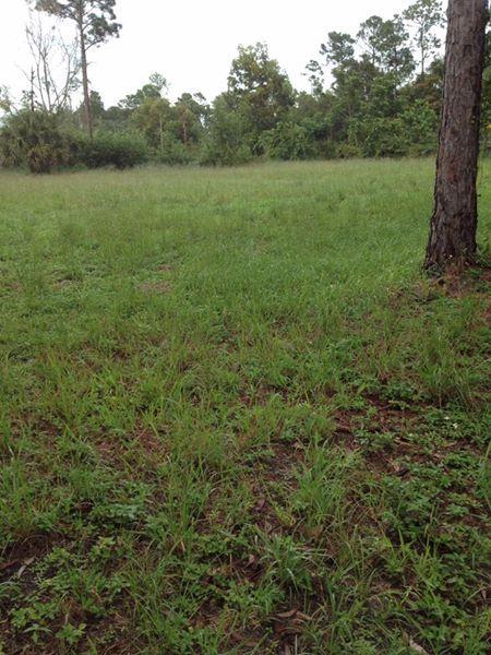 17411 41st Road North Loxahatchee, FL 33470 - Photo 2 of 4 12