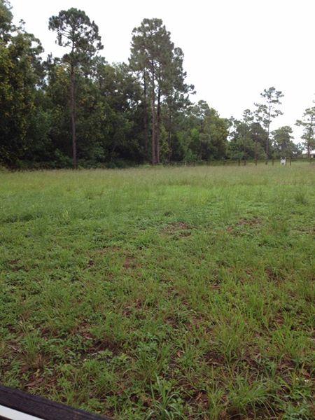 17411 41st Road North Loxahatchee, FL 33470 - Photo 3 of 4 14