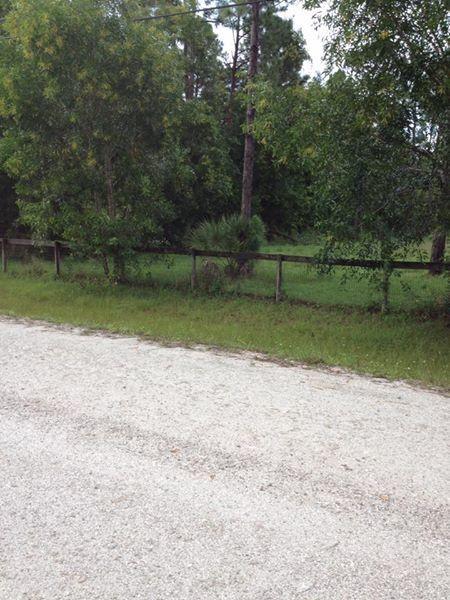 17411 41st Road North Loxahatchee, FL 33470 - Photo 4 of 4 13
