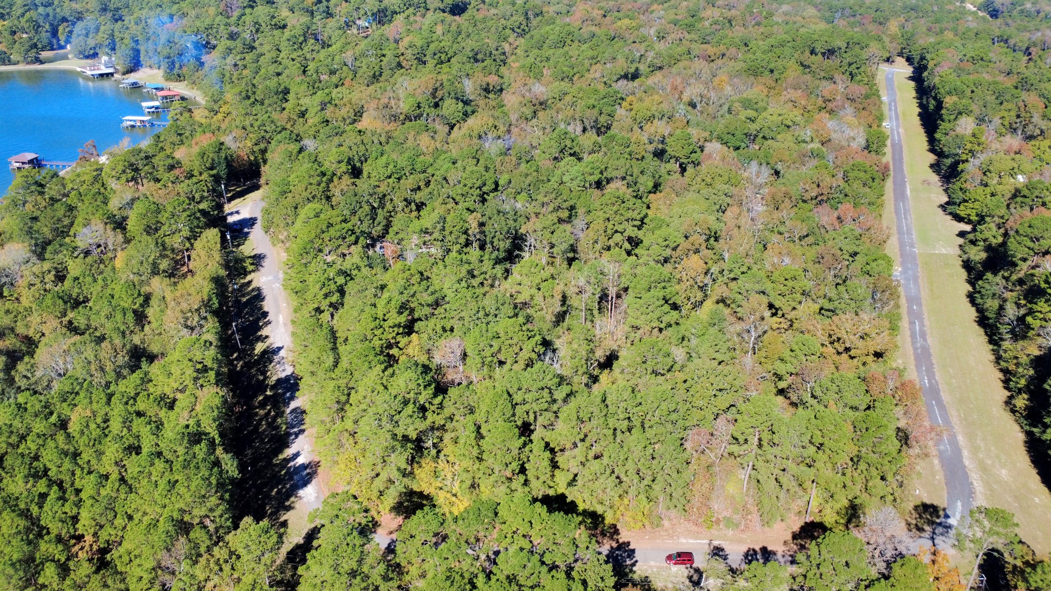 Tbd Deer Ridge Drive Livingston, TX 77351 - Photo 11 of 15 a view of a garden with a tree