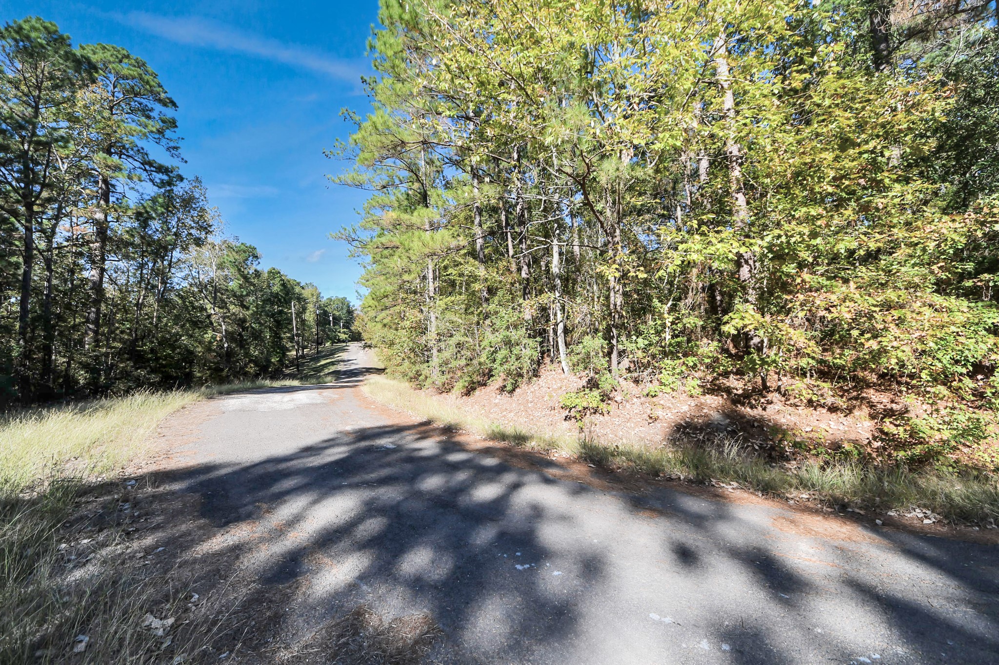 Tbd Deer Ridge Drive Livingston, TX 77351 - Photo 12 of 15 a view of beach and yard